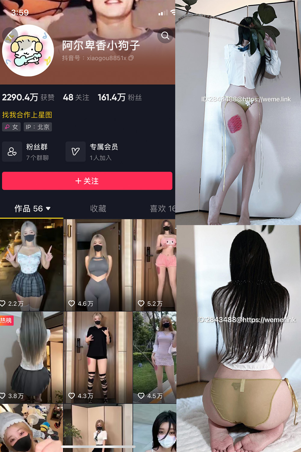 抖音 阿尔卑香小狗子 微密圈 NO.047期 【39P】