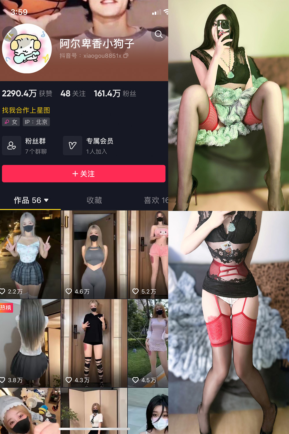 抖音 阿尔卑香小狗子 微密圈 NO.034期 【26P】