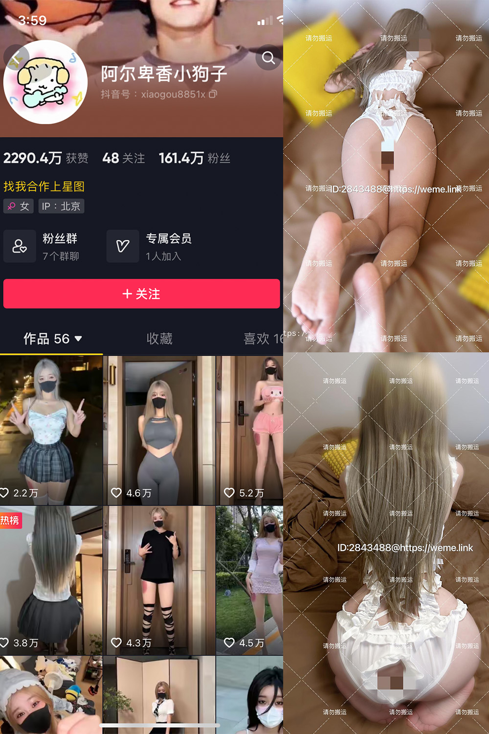 抖音 阿尔卑香小狗子 微密圈 NO.018期 【16P1V】