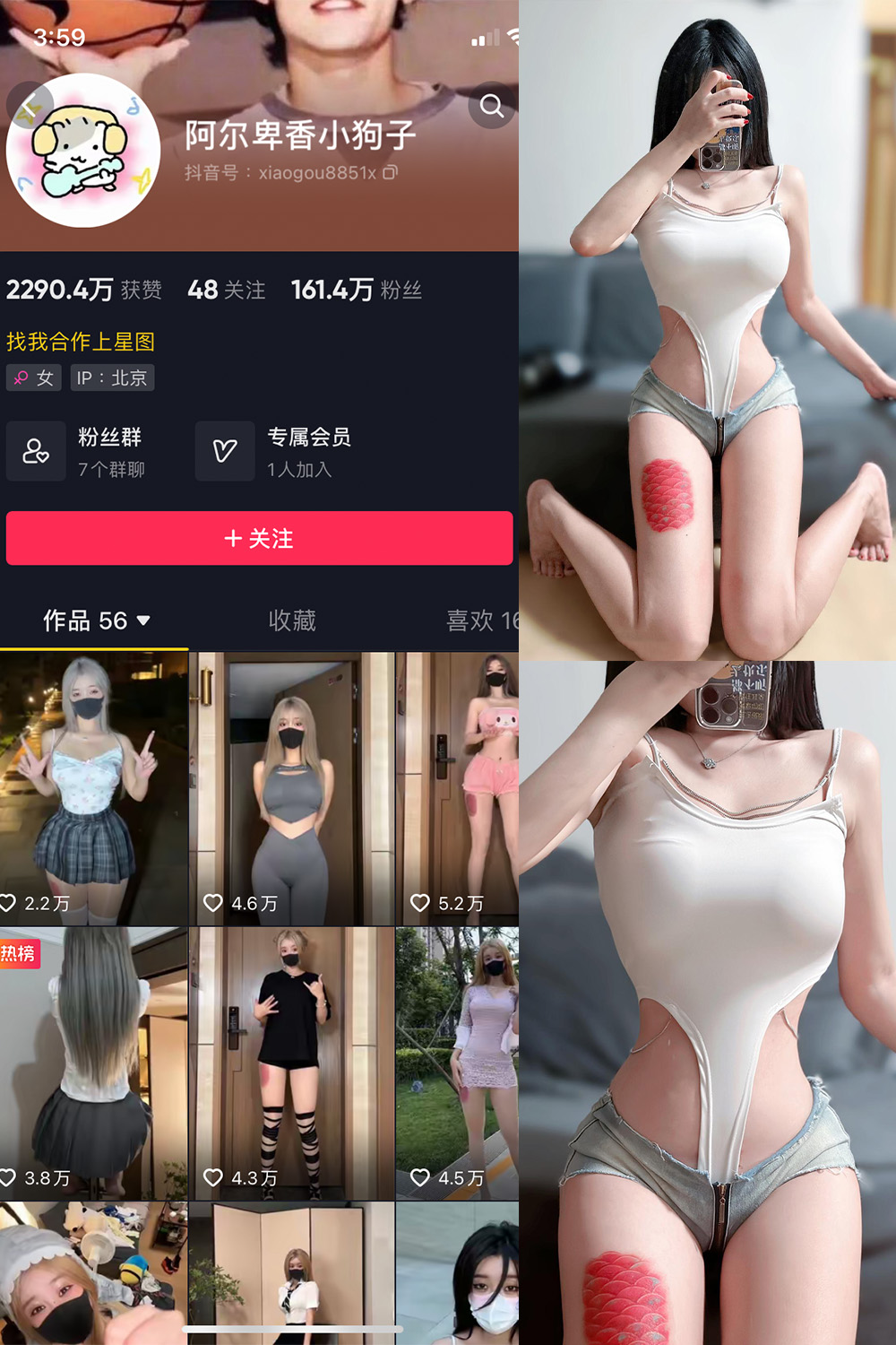 抖音 阿尔卑香小狗子 微密圈 NO.020期 【17P】