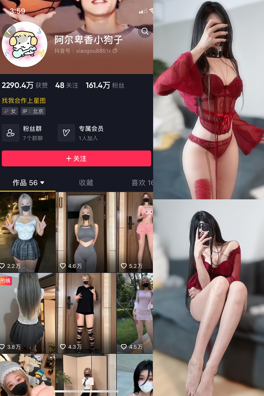 抖音 阿尔卑香小狗子 微密圈 NO.025期 【10P2V】